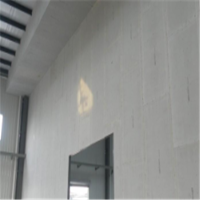柳北宁波ALC板|EPS加气板隔墙与混凝土整浇联接的实验研讨